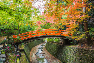 Wall Mural - Every year on November to mid December, Kitano Tenmangu will open its garden to the public during the peak of the autumn leaf season.