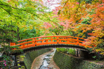 Wall Mural - Every year on November to mid December, Kitano Tenmangu will open its garden to the public during the peak of the autumn leaf season.