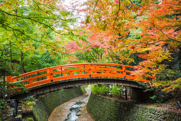 Wall Mural - Every year on November to mid December, Kitano Tenmangu will open its garden to the public during the peak of the autumn leaf season.