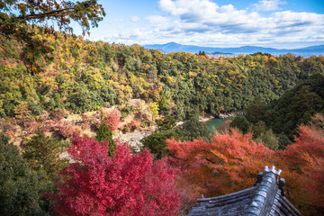 Wall Mural - colorful of maple forest on the mountain at autumn season in Arashiyama, Kyoto, Japan. From observation view point at Senkoji temple, over hozu river.