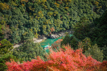 Wall Mural - colorful of maple forest on the mountain at autumn season in Arashiyama, Kyoto, Japan. From observation view point at Senkoji temple, over hozu river.