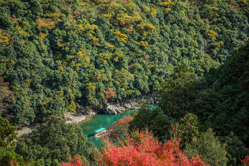 Wall Mural - colorful of maple forest on the mountain at autumn season in Arashiyama, Kyoto, Japan. From observation view point at Senkoji temple, over hozu river.