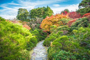 Wall Mural - Okochi Sanso Garden, Arashiyama, Kyoto, Japan