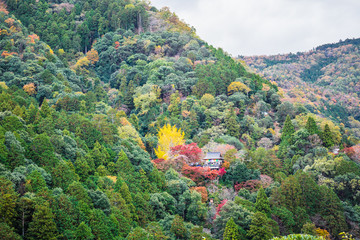 Wall Mural - Senkoji Temple. Ancient wooden temple with autumn foliage colors at the mountain of Arashiyama, Kyoto, Japan.