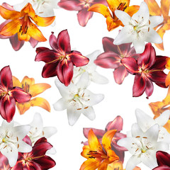Fotomurales - Beautiful floral background of white, orange and burgundy lilies. Isolated