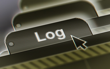 log. a file in a screen.