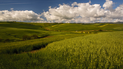 Wall Mural - Campagne toscane