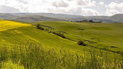 Canvas Print - Campagne toscane