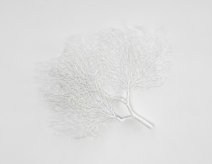 Wall Mural - decorative white dry branch with isolated on white background