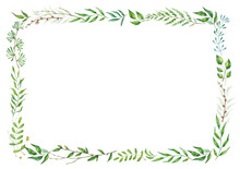 Herbal Mix Vector Frame. Hand Painted Plants, Branches And Leaves On White Background. Natural Card Design.