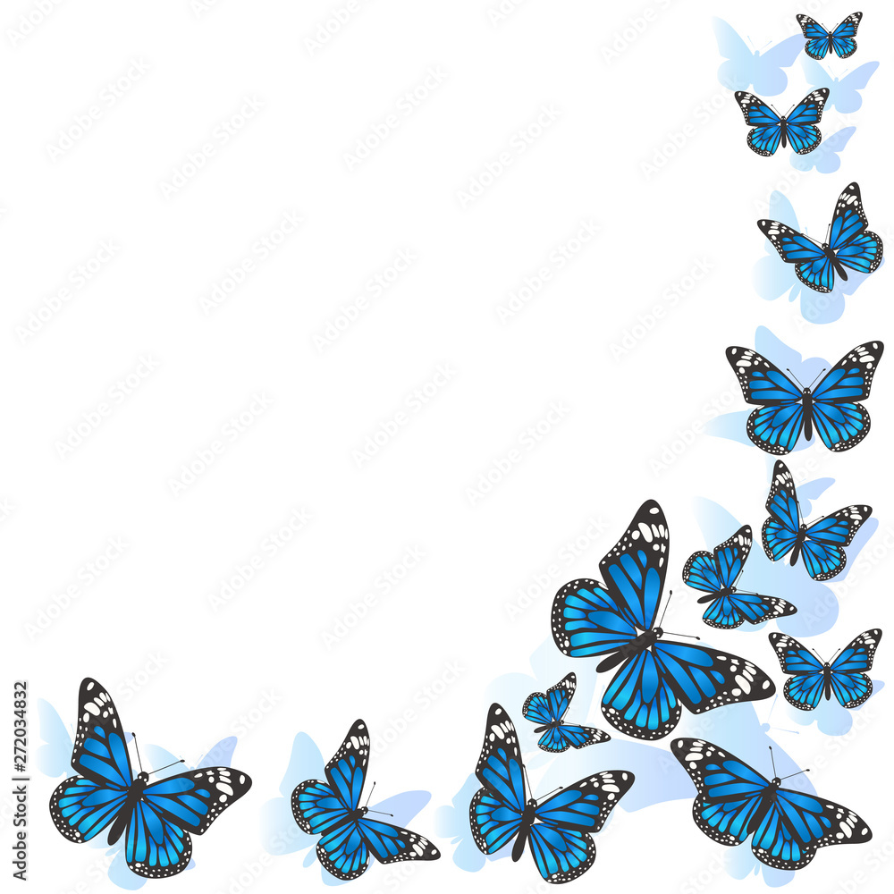 Element of design. Frame made of butterflies. Blue butterflies on a ...