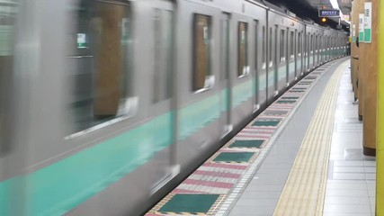 Canvas Print - Metro underground train is arriving to the platform in Tokyo, Japan -View from metro tokyo station's platform