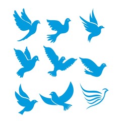 Wall Mural - Set of flying birds sign isolated on white.