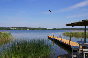 Wall Mural - Mueritz national park. Holiday destination woblitz lake, Mecklenburg Lake Plateau