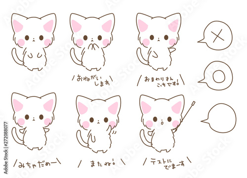 とてもかわいいしろねこちゃん お願い 案内 ガード バイバイ 指し