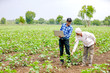 © PRASANNAPIX - agronomist with farmer at cotton field