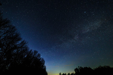 Wall Mural - Starry sky and the milky way over the meadow and forest.