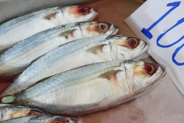 Wall Mural - Fresh fish for cooking at street food