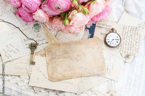 Pink and white blooming roses