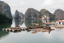 Floating Fishing Village And Rock Island, Halong Bay, Vietnam, Southeast Asia. UNESCO World Heritage Site. Junk Boat Cruise To Ha Long Bay. Popular Landmark, Famous Destination Of Vietnam