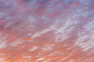 Wall Mural - Pastel color evening sky and amazing clouds.