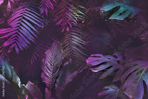 Bright neon tropical palm background leaves pink and dark jungle texture