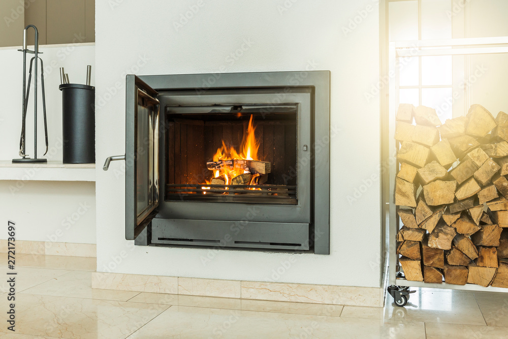 Poster Luxurious Modern Design Fireplace With Glass Door White