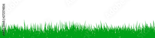 Green grass, field, nature eco background - vector for stock