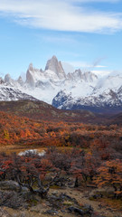 Mount Fitz Roy and autumn forest in Patagonia in Argentina.