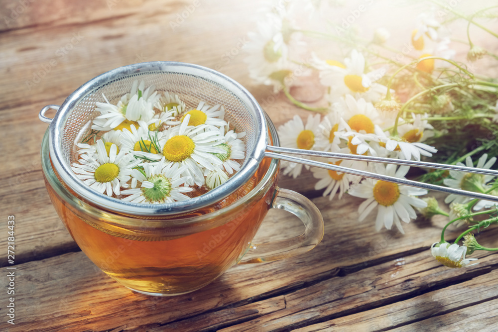 Daisy flowers in tea infuser and healthy chamomile herbal tea cup. - obrazy, fototapety, plakaty 