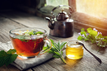 Wall Mural - Several medicinal plants and herbs on table, healthy herbal tea cup, honey jar and vintage copper tea kettle.