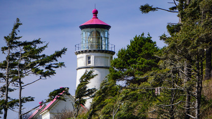 Heceta Head lighthouse on blue sky background among trees