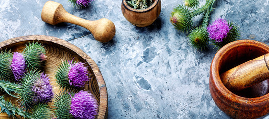 Wall Mural - Milk thistle with flowers