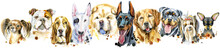 Border From Watercolor Portraits Of Dogs For Decoration