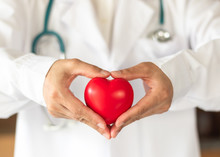 Cardiovascular Disease Doctor Or Cardiologist Holding Red Heart In Clinic Or Hospital Exam Room Office For Csr Professional Medical Service, Cardiology Health Care And World Heart Health Day Concept