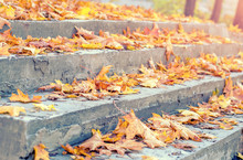 Autumn Leaves On The Steps. Piles Of Autumn Leaves Accumulate On Steps - Background Image
