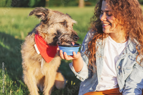 Fotomural A young woman gives to drink her dog for a walk in the forest