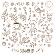 © voron4ihina - Vector summer set. Plants, cat and birds. Doodle image.