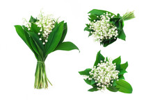 Set Of Bouquets Of Flowers And Leaves Of Lily Of The Valley On An Isolated White Background