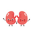 Strong cute healthy happy kidneys 