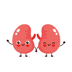 Strong cute healthy happy kidneys 