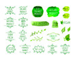 © Aleksey - Vector Set of Hand Drawn Design Elements, Eco Natural Product, Farmers Market, Green Watercolor Drawings, Isolated.
