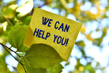 Word writing text We Can Help You. Business photo showcasing offering good assistance to customers or friends Piece of square paper use to give notation on tree leaf under sunny day