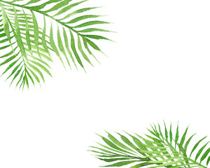 Wall Mural - hand drawn watercolor tropical border frame with palm tree leaves isolated on white background