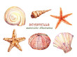 Watercolor set of underwater life objects - various tropical seashells,  starfish and sea urchin. Hand drawn illustrations isolated on white background.
