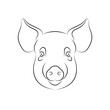 Outline of stylized pig portrait on white background. Line art. Stencil art