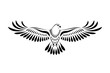 Engraving of stylized hawk. Decorative bird. Linear drawing. Flying bird. Stencil art