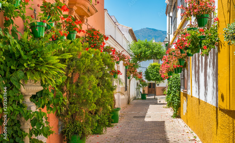 The beautiful Estepona, little town in the province of Malaga, Spain. - obrazy, fototapety, plakaty 