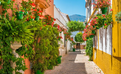  Piękne Estepona, małe miasteczko w prowincji Malaga, Hiszpania.