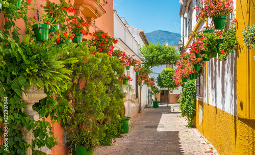 Cuadros en Lienzo The beautiful Estepona, little town in the province of Malaga, Spain